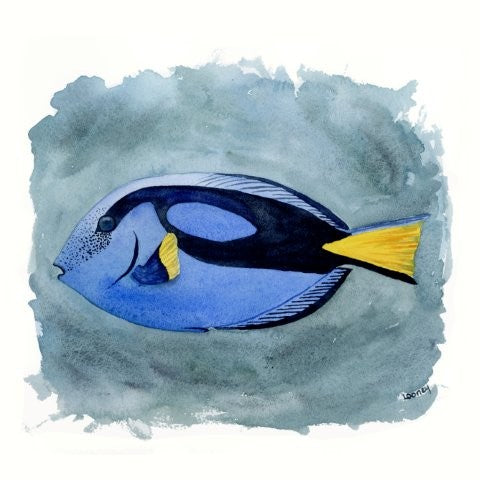 Sea Creatures for Boden - Blue Tang