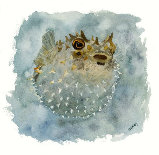 Fine Art Print - Sea Creatures for Boden - Pufferfish