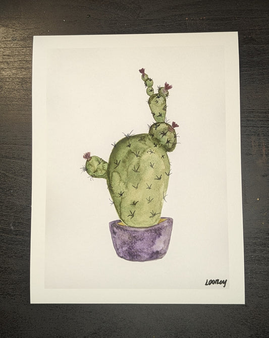 Fine Art Print - Cactus 6x8 with border