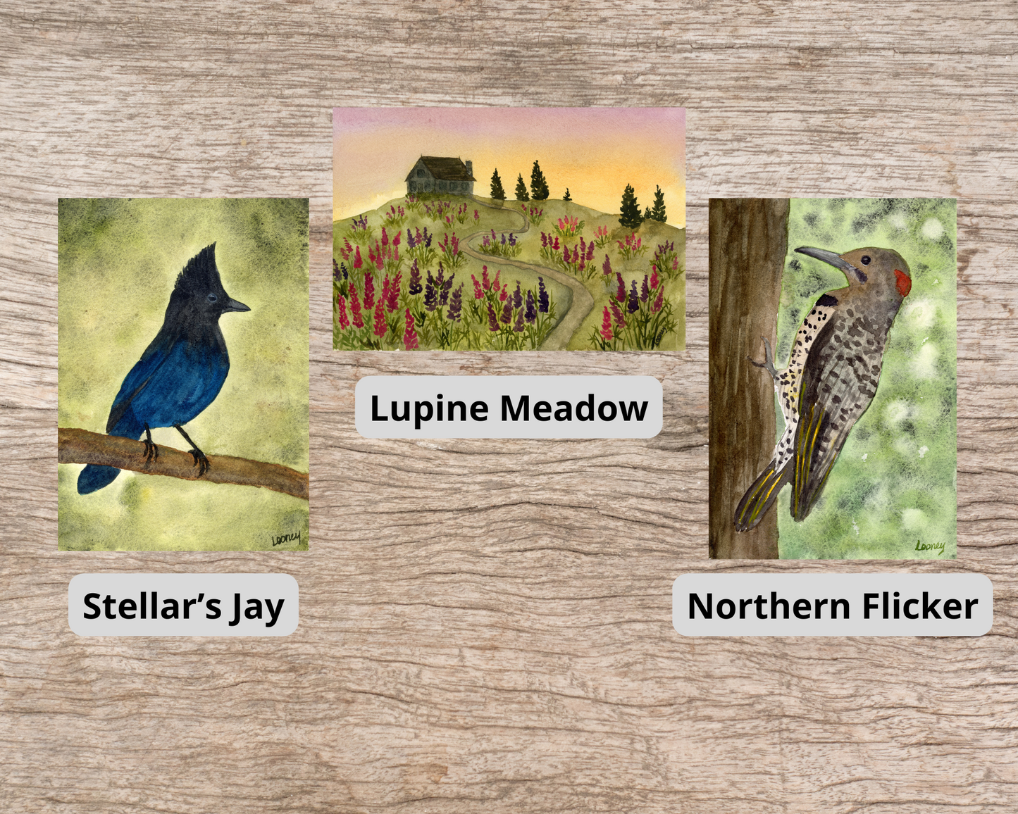 Greeting Cards