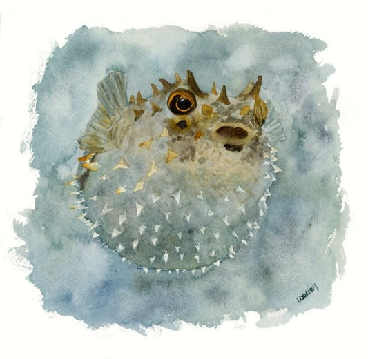Fine Art Print - Sea Creatures for Boden - Pufferfish