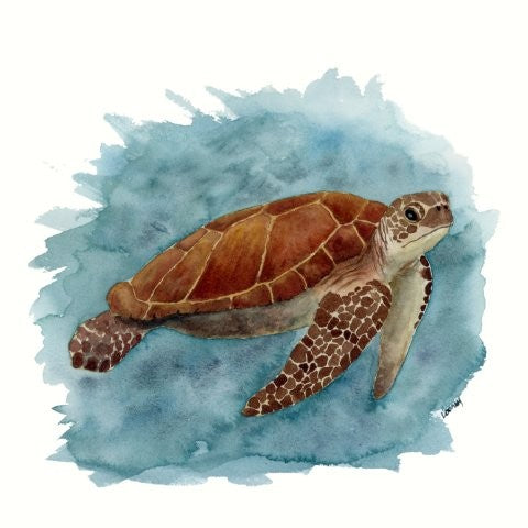 Fine Art Print - Sea Creatures for Boden - Sea Turtle