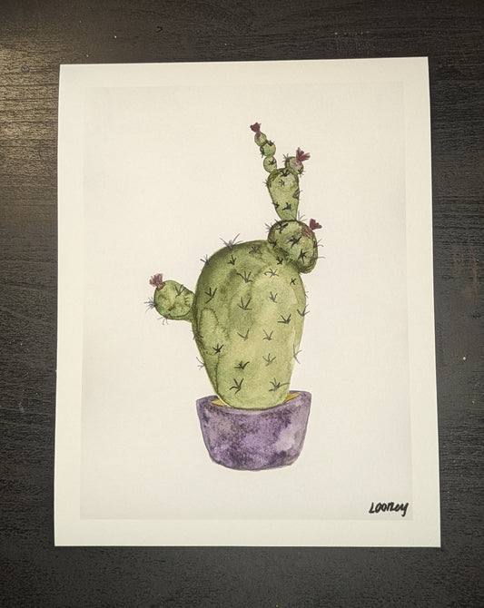 Fine Art Print - Cactus 6x8