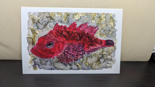 Print - Rockfish 4x6