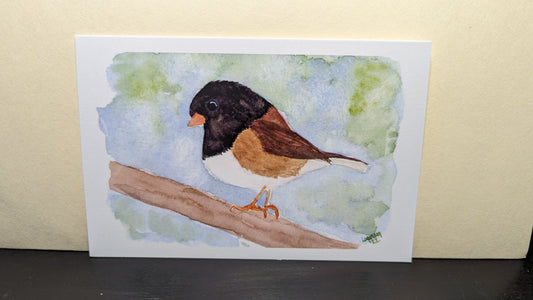 Print - Junco 4x6