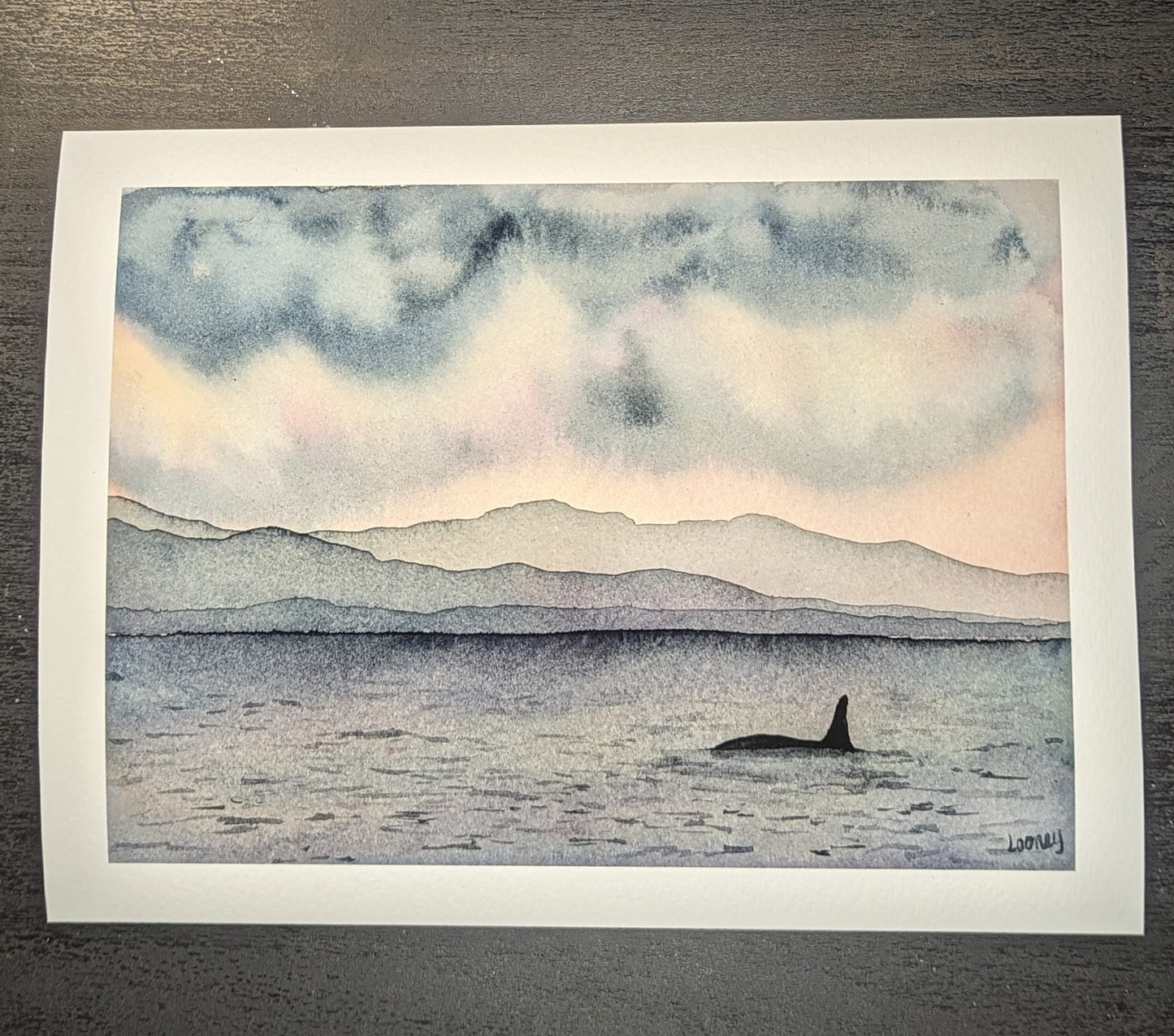 Fine Art Print - Puget Sound Orca 7x5