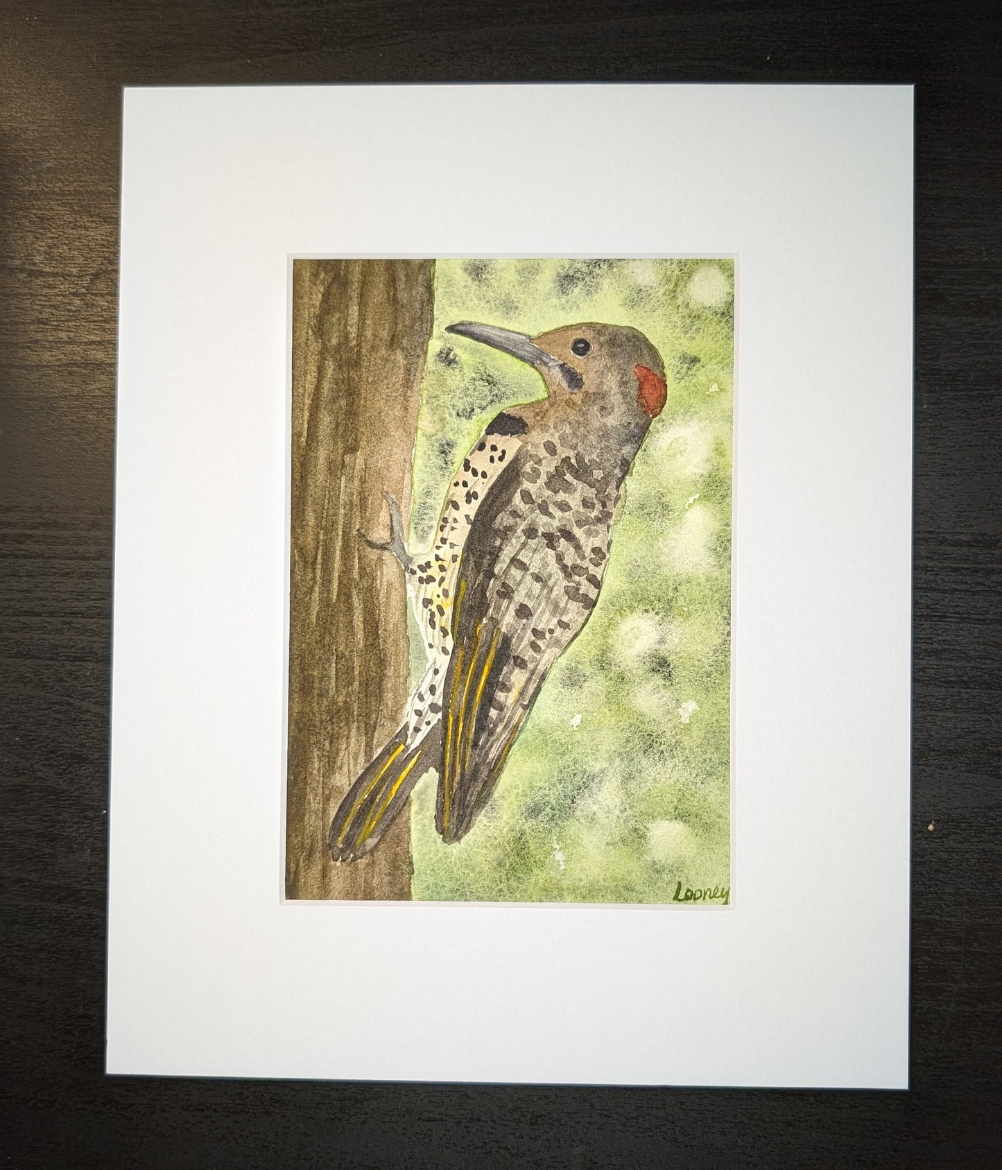 Fine Art Print - Northern Flicker 5x7