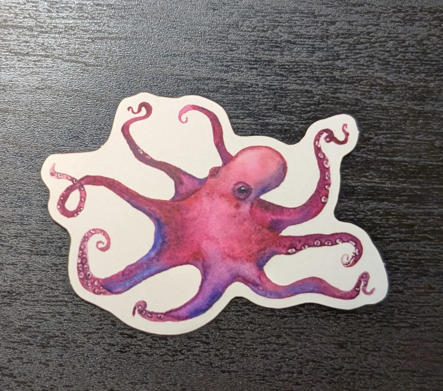 Vinyl Sticker - Octopus