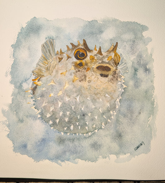 Fine Art Print - Sea Creatures for Boden - Pufferfish