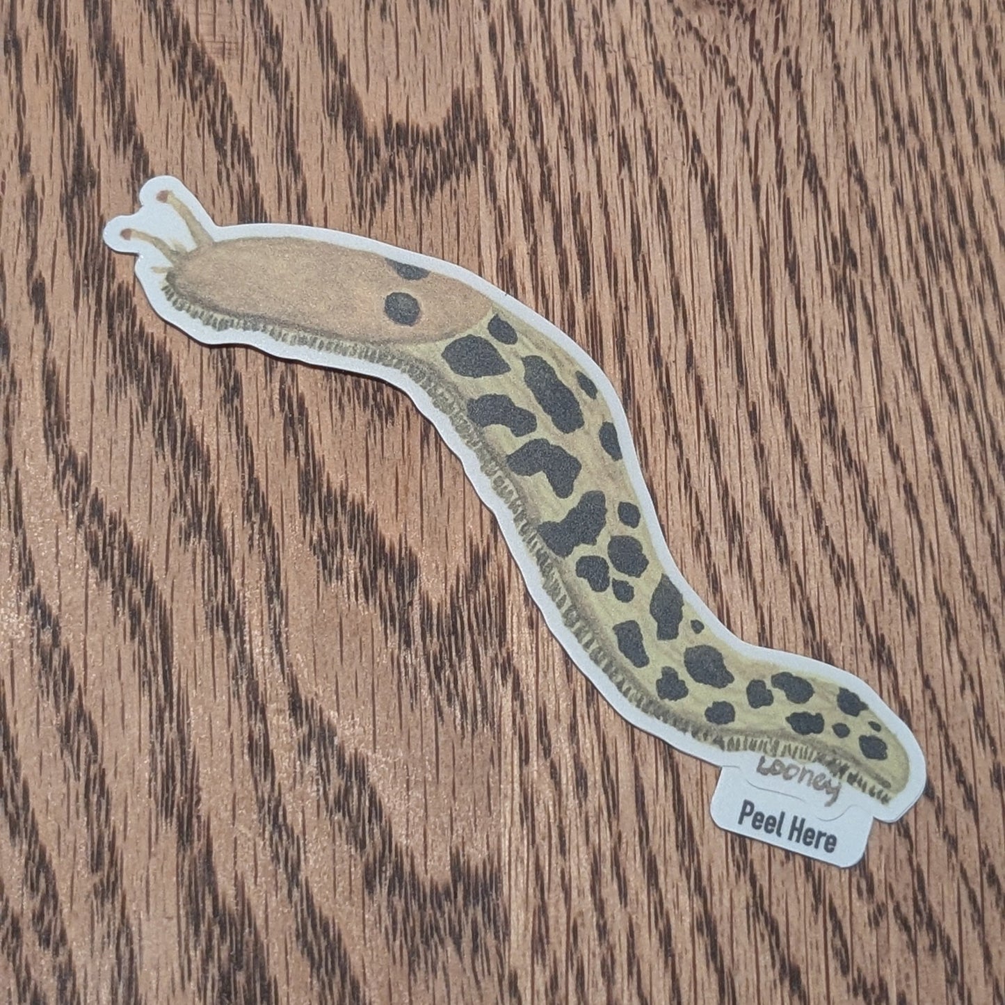 Vinyl Stickers - Banana Slug