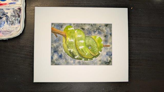 Original Painting - Emerald Tree Boa